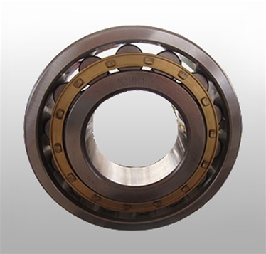 Cylindrical Roller Bearings