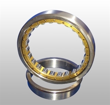 Cylindrical Roller Bearings